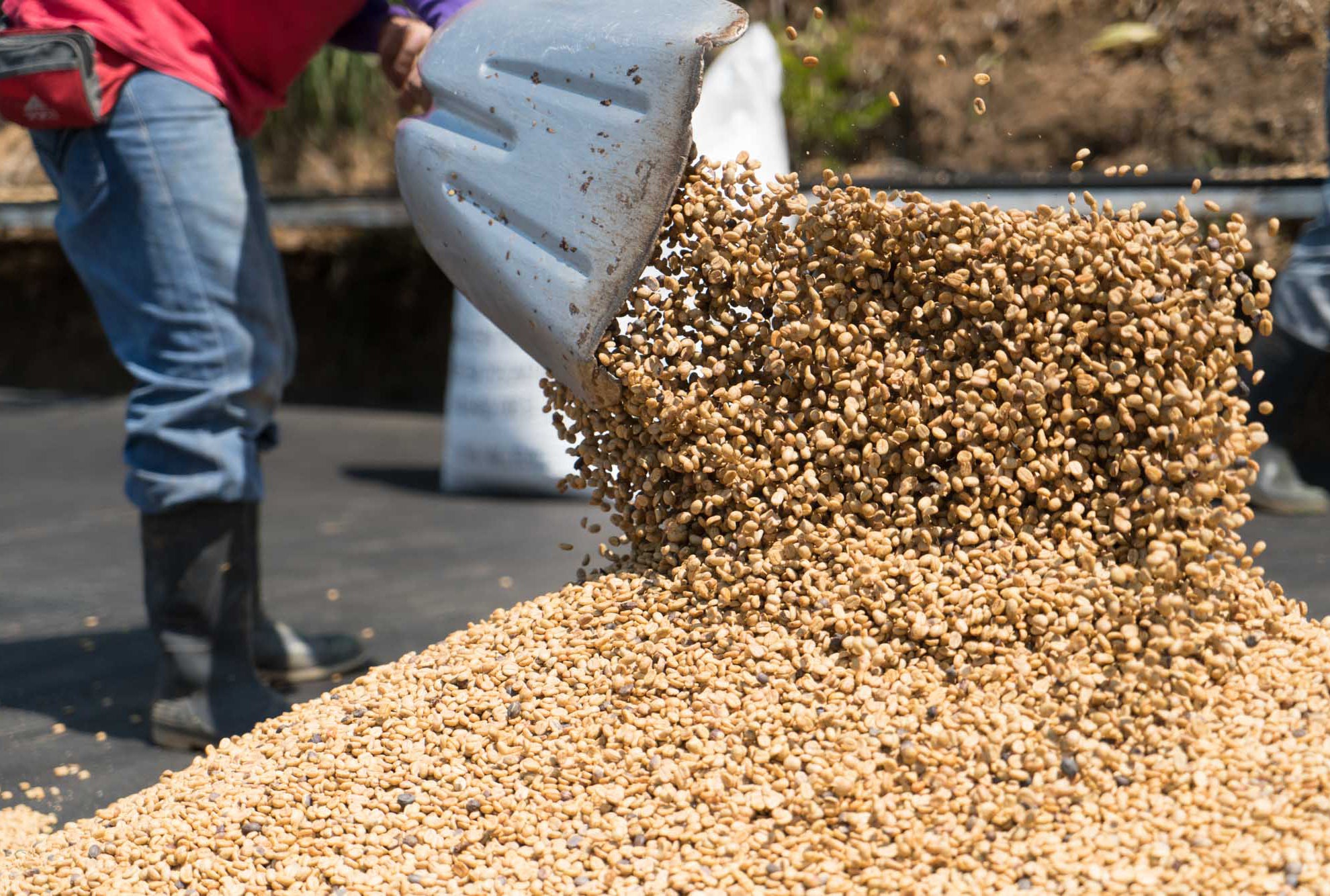 Las Lajas Costa Rica