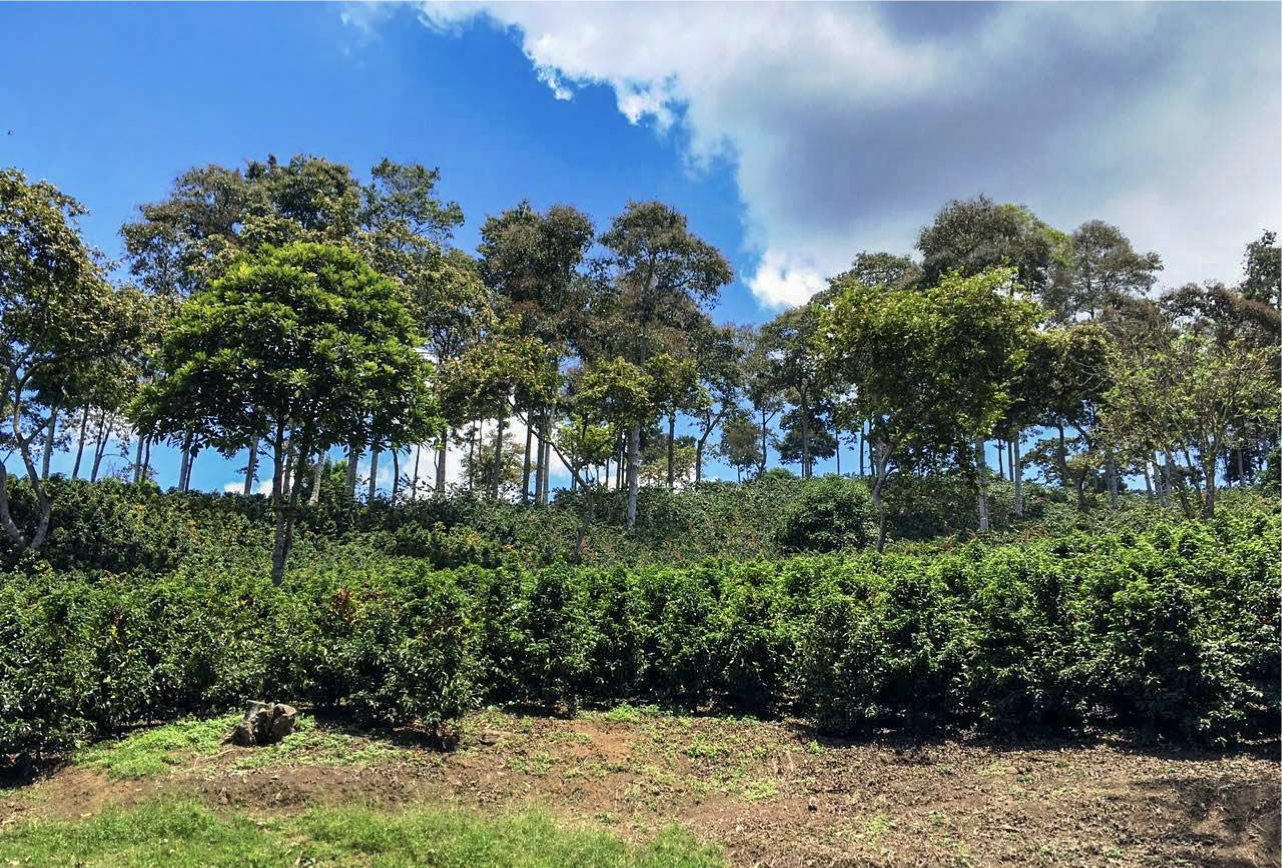 Colombia Valle Del Cauca