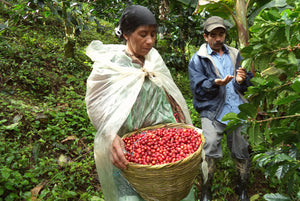 CENTRAL AMERICA