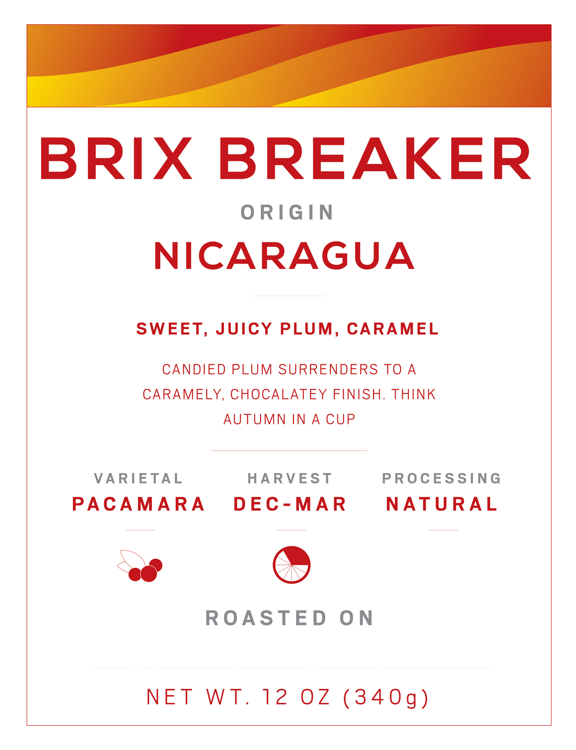 Brix Breaker Nicaragua 