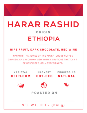 Harar Rashid Ethiopia