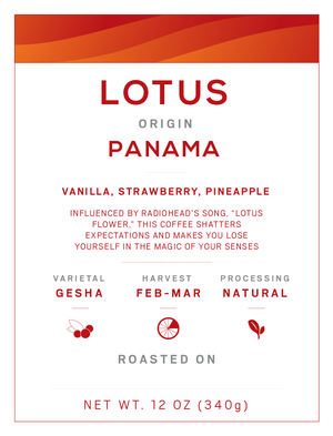 Lotus Ninety Plus Panama 
